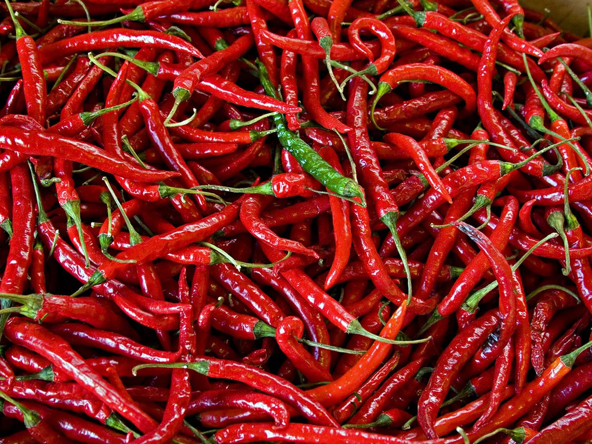 Gewürfelte rote Paprika