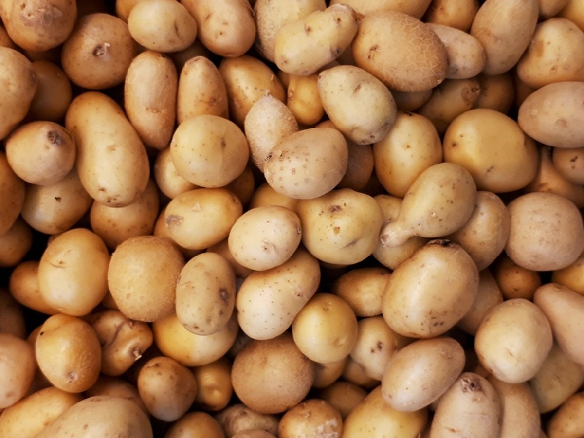 Geschälte rohe Kartoffeln auf einem Brett