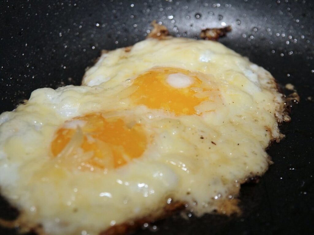 Egg