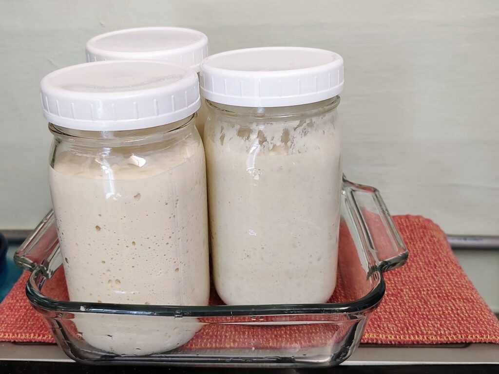 Sourdough starter jars (3)
