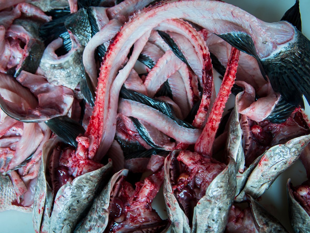 Fischstücke werden im Fond pochiert