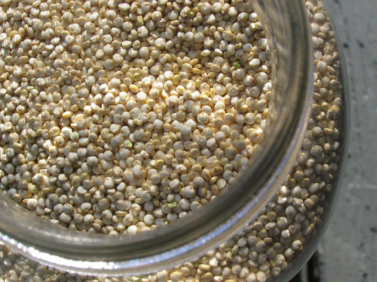 Gekochter Quinoa in einer Schale