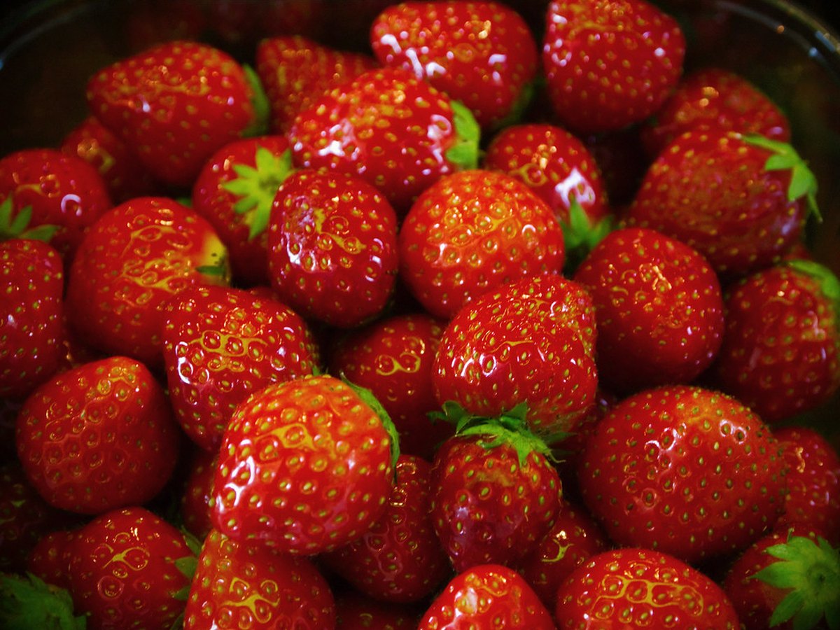 Frische Erdbeeren geputzt und halbiert
