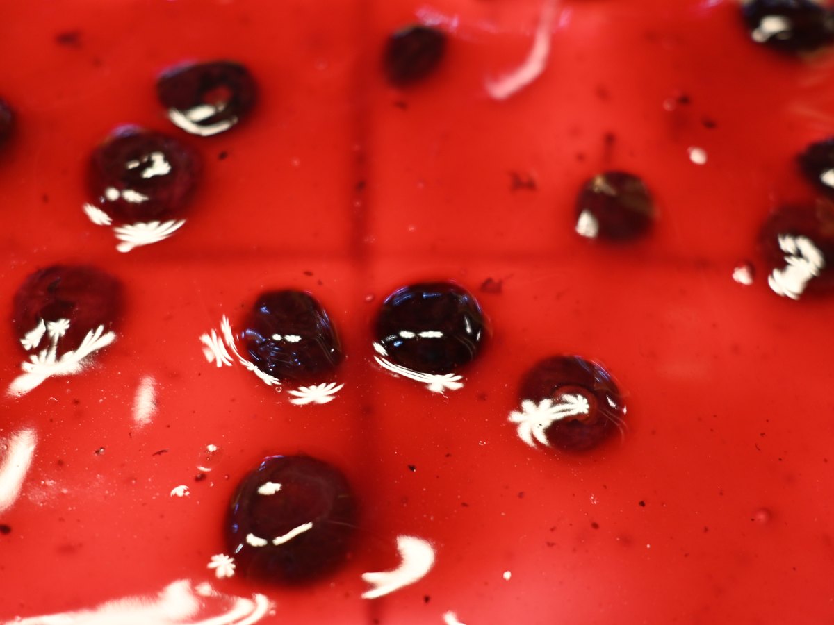 Beerenspiegel auf dem Käsekuchen