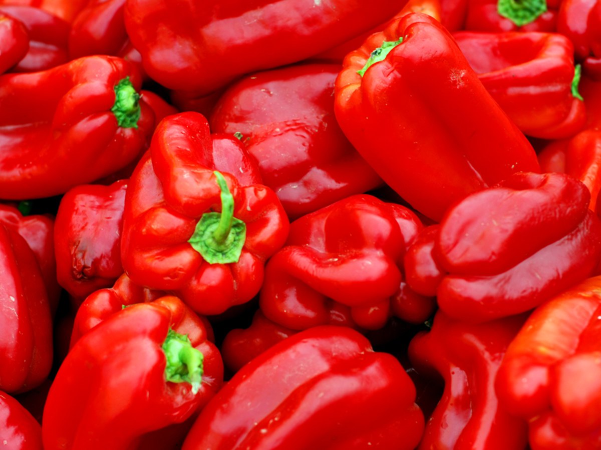 Frische rote Paprikaschoten
