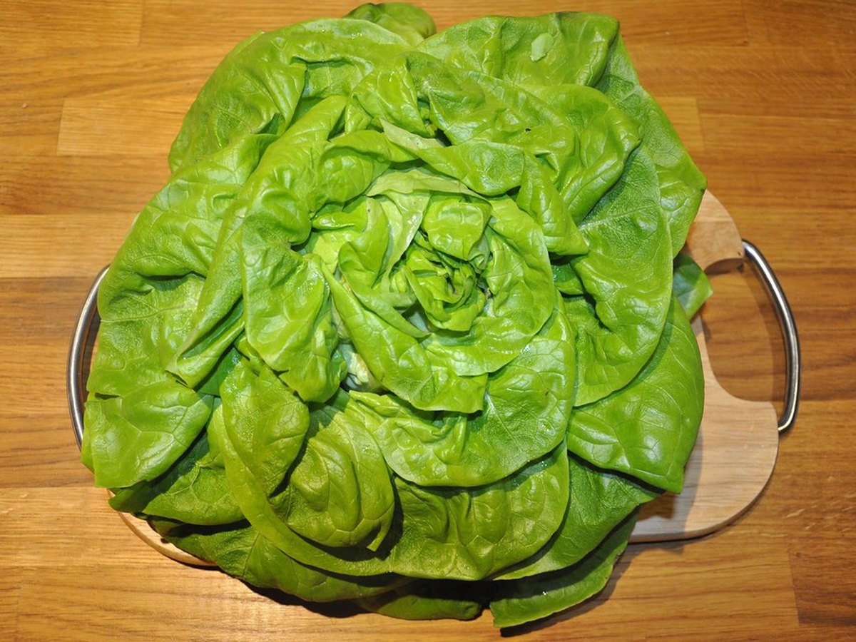 Frischer Blattsalat