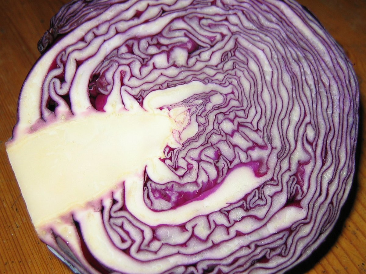 Geschmorter Rotkohl mit Apfel