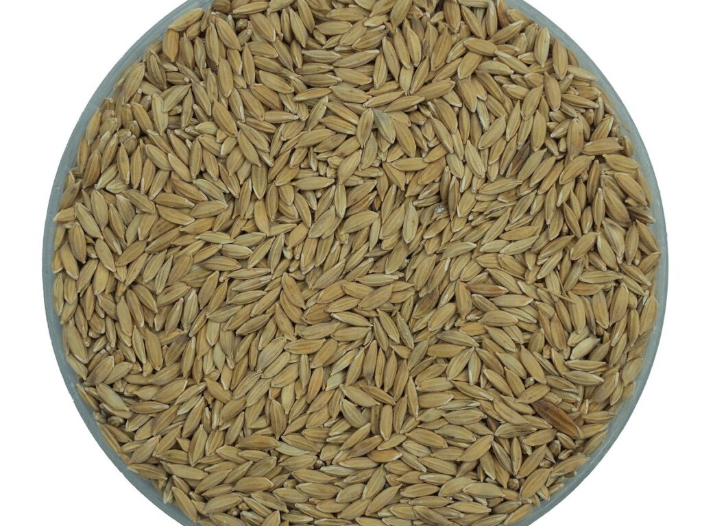 Atob - rice - DSC00232