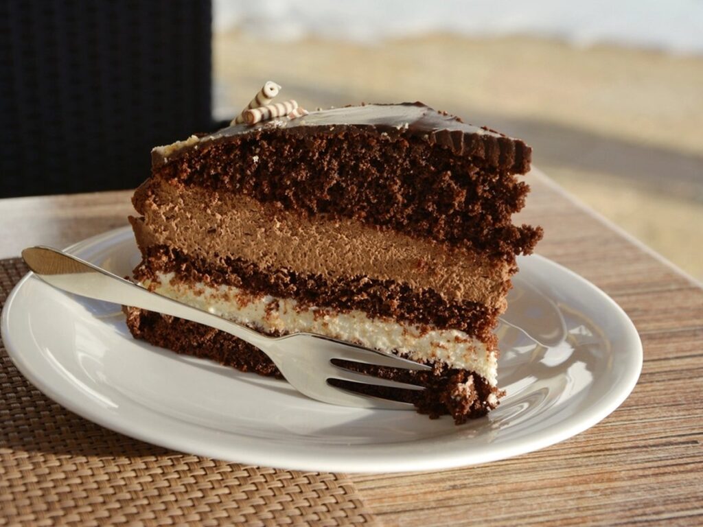 Free chocolate cake slice plate