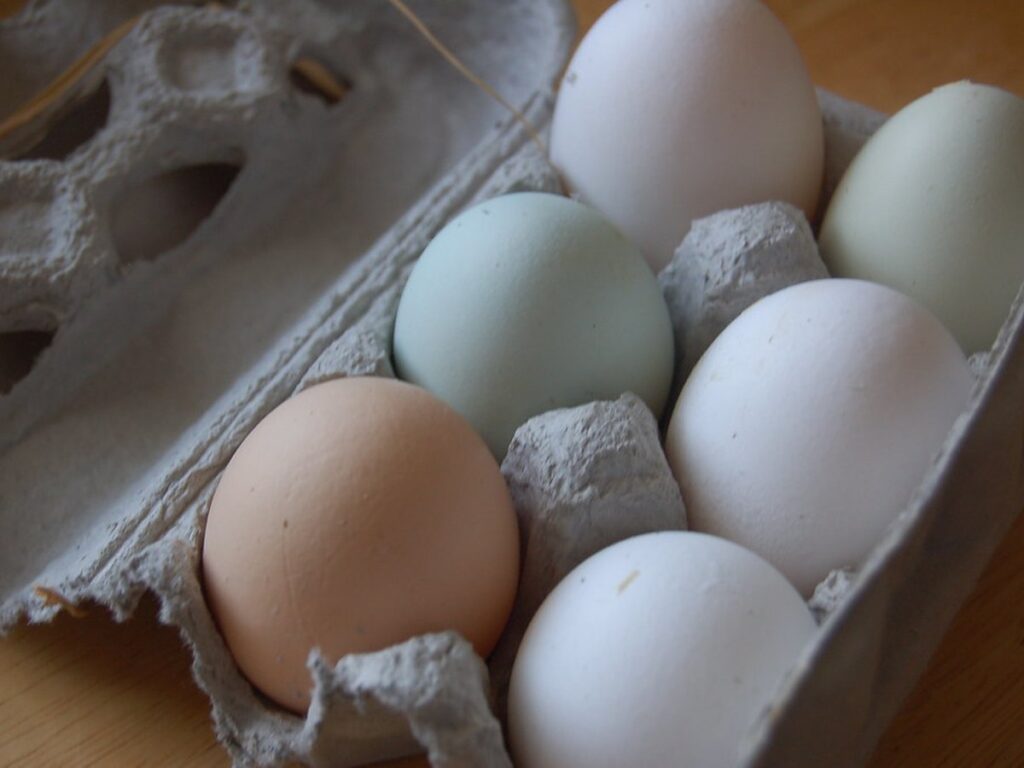 Hanson Farms Eggs