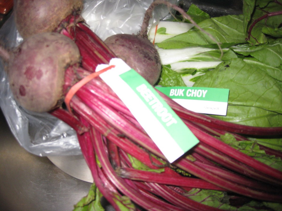 Rote-Bete-Knollen mit frischem Laub