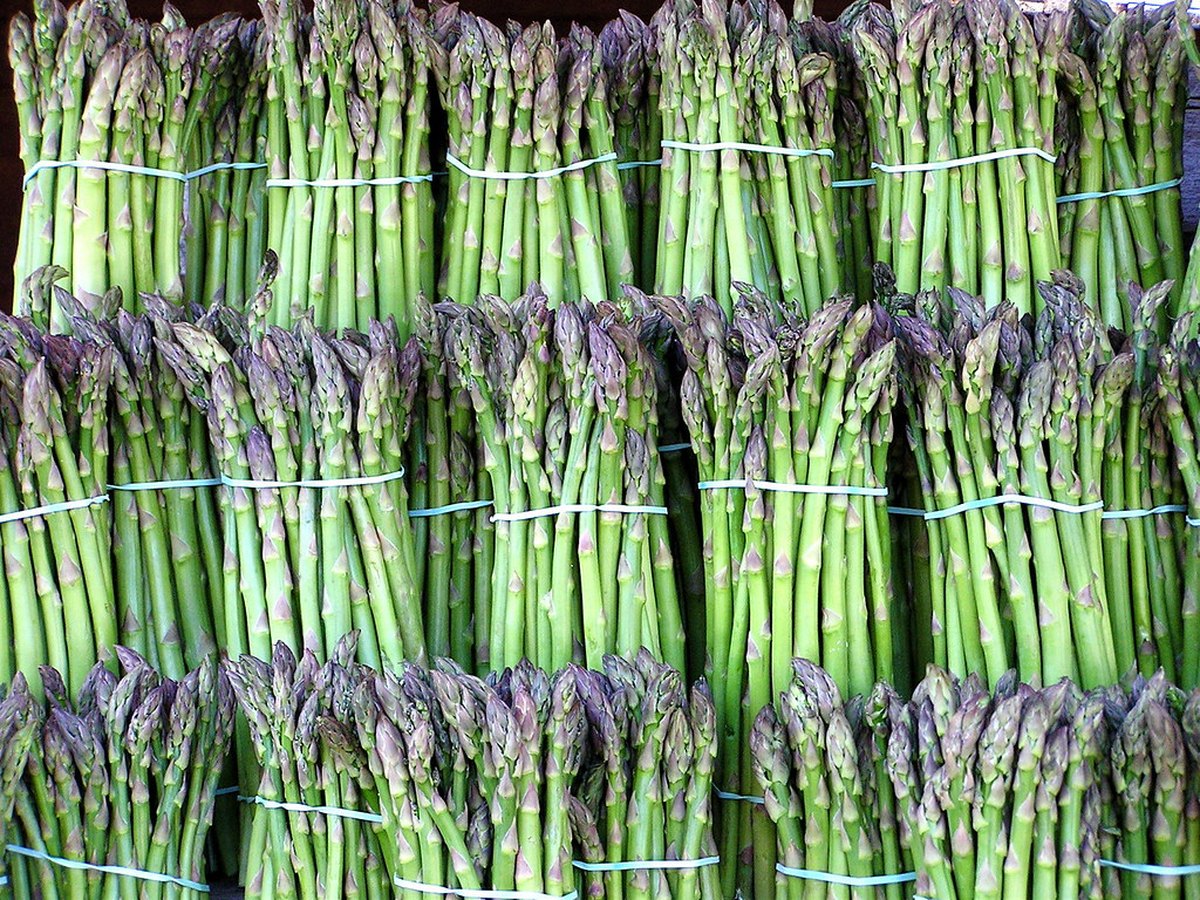 Bund grüner Spargel