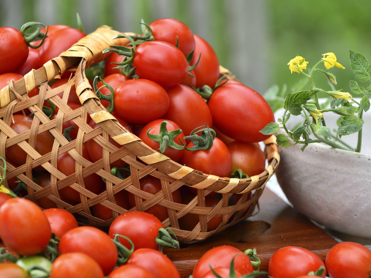 Tomaten in einem Korb aus der Nähe