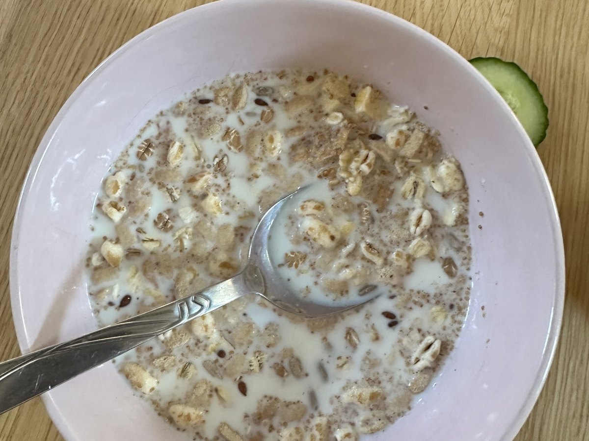 Quellstück aus Haferflocken und Saaten